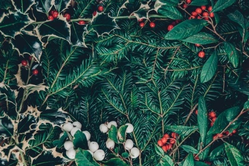 In the Footsteps of Nature: Incorporating Fresh, Organic Elements into Your Christmas Wreaths and Garlands